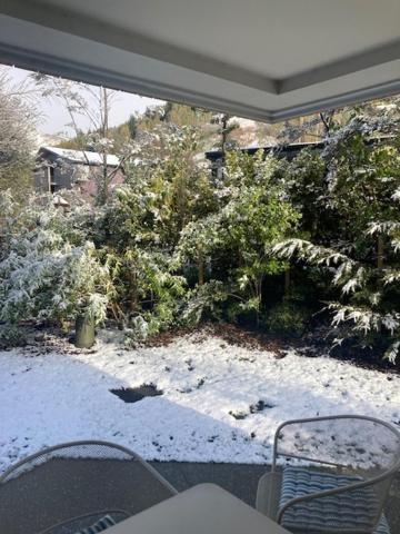Garden Apartment Κουίνσταουν Εξωτερικό φωτογραφία